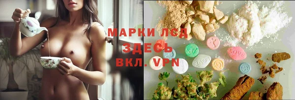 стафф Михайловск
