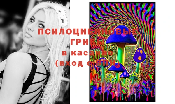 соль ск Михайловка
