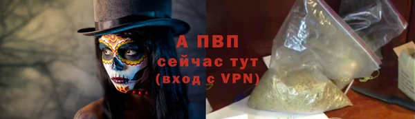 стафф Михайловск
