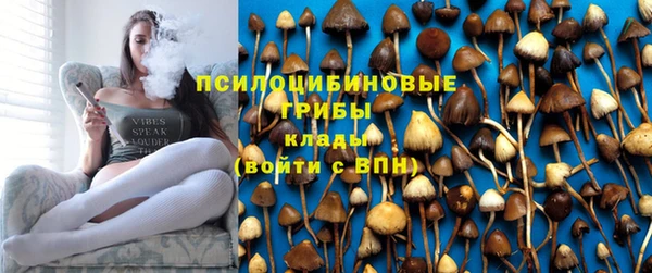 стафф Михайловск
