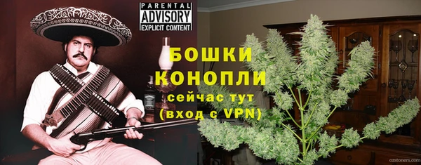 стафф Михайловск