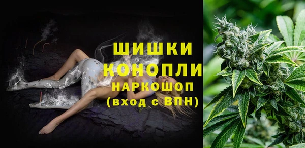 стафф Михайловск