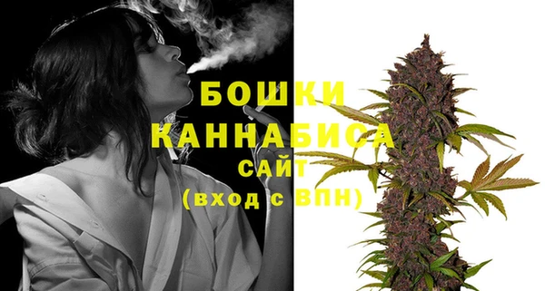стафф Михайловск